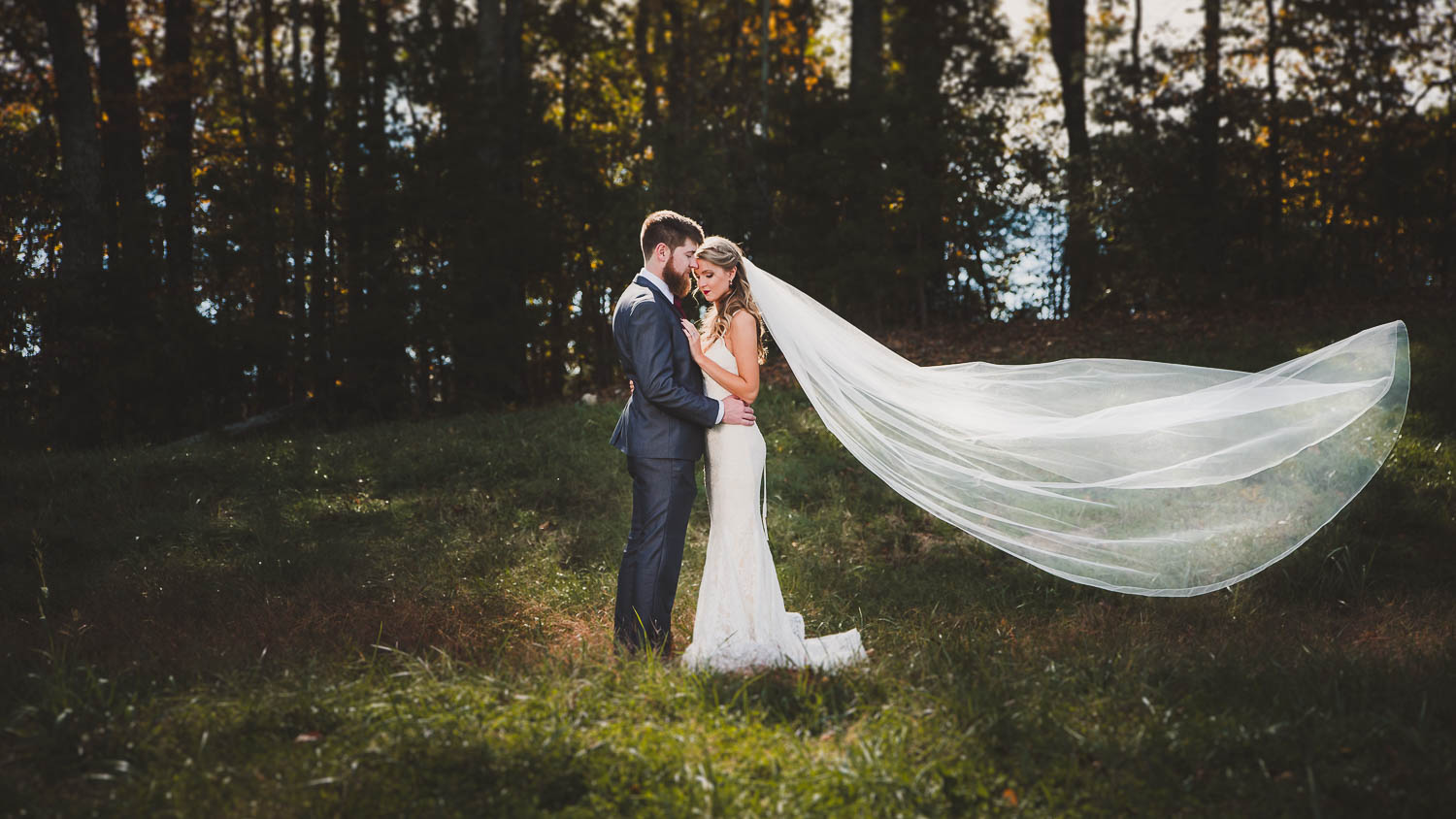 Stunning Maternity Photos in the Woods in Bristol VA - Overbeek Photo +  Video